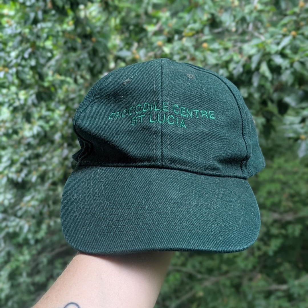crocodile dundee